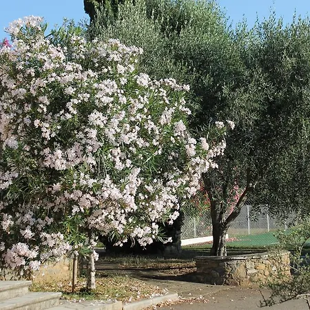 Frühstückspension D'hotes Le Clos Des Oliviers Sorbo-Ocagnano