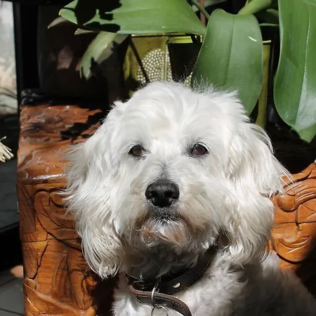 D'hotes Le Clos Des Oliviers