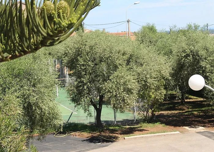 לינה וארוחת בוקר D'hotes Le Clos Des Oliviers Sorbo-Ocagnano