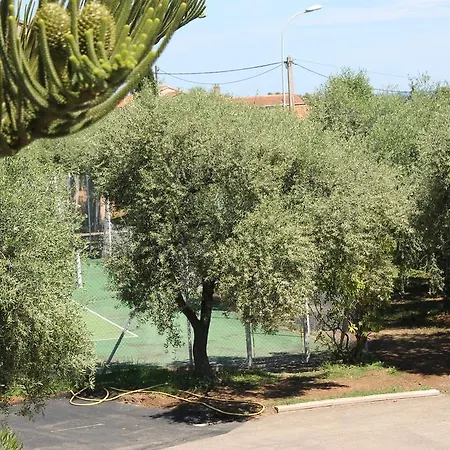 Nocleg ze śniadaniem D'hotes Le Clos Des Oliviers Sorbo-Ocagnano