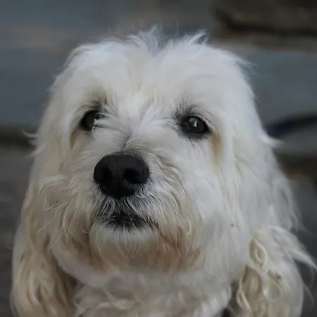 Bed & Breakfast D'hotes Le Clos Des Oliviers