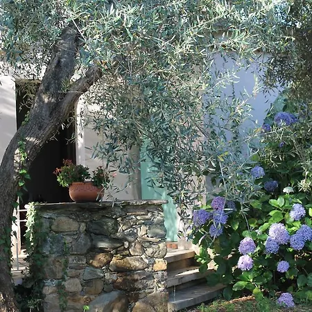 D'hotes Le Clos Des Oliviers *
