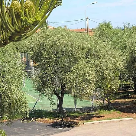 D'hotes Le Clos Des Oliviers Bed & Breakfast 3*