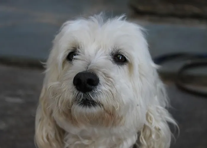 Couette-café D'hôtes Le Clos Des Oliviers